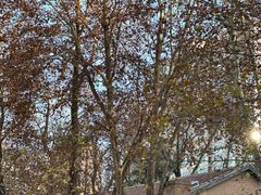 -西安电影制片厂