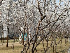 -河南牧业经济学院(龙子湖校区)