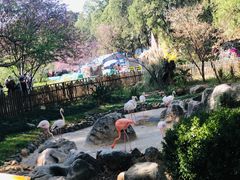 -昆明动物园