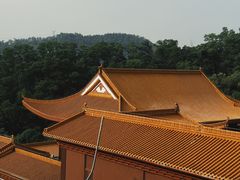 -深圳仙湖植物园