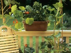 -秦汉胡同国学书院(天鹅湾分馆)