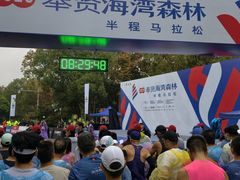 -上海海湾国家森林公园