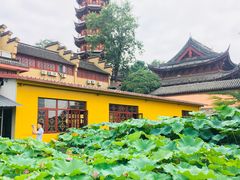 -鸡鸣赐茶(鸡鸣寺路店)