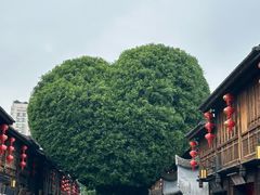 -三坊七巷历史文化街区