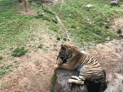 -济南野生动物世界