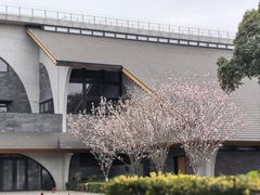 -安仁古镇