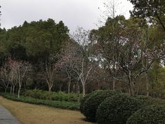 -黄兴公园