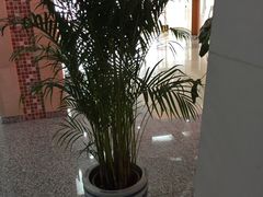 -北京高博博仁医院