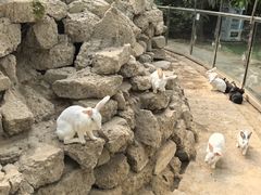 -呀路古热带植物园