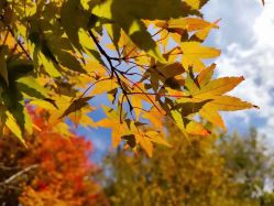 -Oasis Beauty水磨坊科技美肤中心