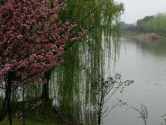 无锡红豆杉庄-红豆杉庄会议中心