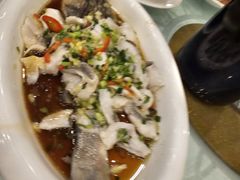 葱姜淋鲈鱼-金河半岛园林酒家(金融城店)