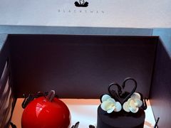 -BLACKSWAN黑天鹅(环球店)