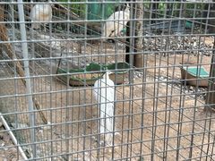 -雪山彩虹谷景区