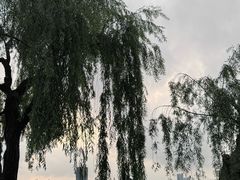 -黄兴公园