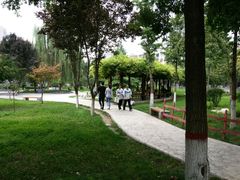 -西北大学(桃园校区)