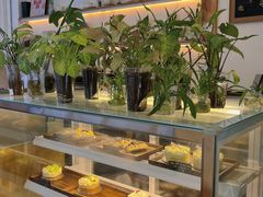 -绿小院(荔湾店)