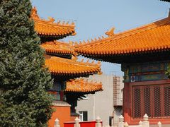 -历代帝王庙博物馆