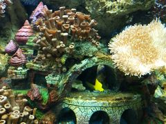 -北戴河圣蓝海洋公园