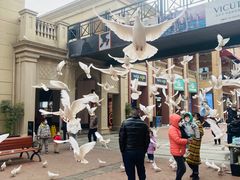 -王府井奥莱临潼小镇(临潼店)