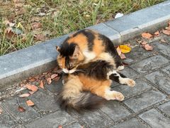 -华东政法大学(松江校区)