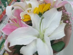 -徐州地锅鸡(浦口大道店)