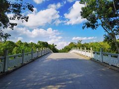 -上海海湾国家森林公园