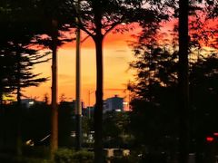 -梧桐山风景名胜区