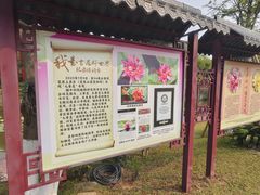 -广州莲花山旅游区