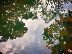 -杭州半山国家森林公园