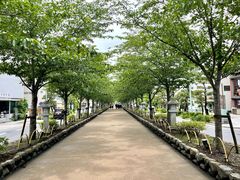 -鹤冈八幡宫