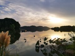 -东湖落雁景区