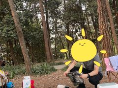 -铁山坪森林公园