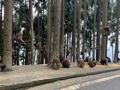 -太阳湾风景区