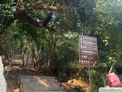 -紫金山山顶公园