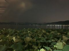 -湖畔居茶楼(湖滨店)