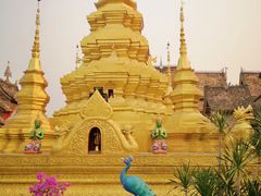 -西双版纳傣族园