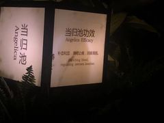 -海兰云天度假区温泉