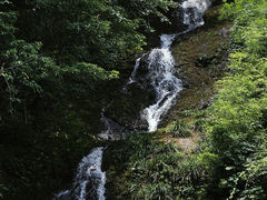 -龙苍沟森林公园