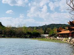-洛龙公园