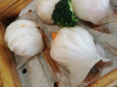 -新金盛·海鲜酒楼(盐田店)