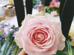 -森野花艺培训·企业团建活动沙龙