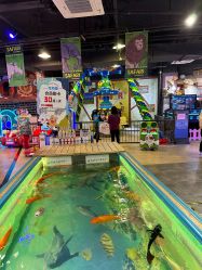 点击看大图 -卡通尼·Safari非洲探索乐园·生日会(金桥国际商业广场店)