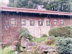 -中国茶叶博物馆(双峰馆区)