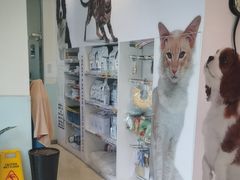 -瑞派申生动物医院·24H夜诊·国际动物医疗中心·骨外科(吴中路店)