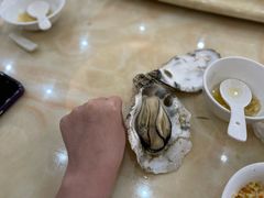 -蚝专家(北滘店)