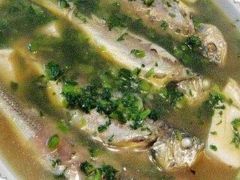 雪菜黄鱼炖豆腐-陈记菜馆·非遗淮扬菜(东关街教场店)