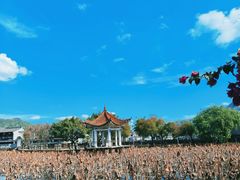 -和顺古镇