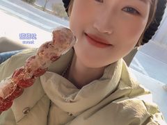 -和禄德冰糖葫芦