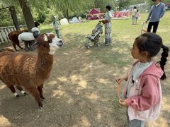 -大连铭湖国际观光牧场